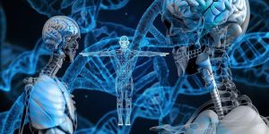 Read more about the article What Is Humatrope?